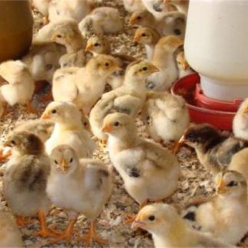 房屋风水禁忌化解方法