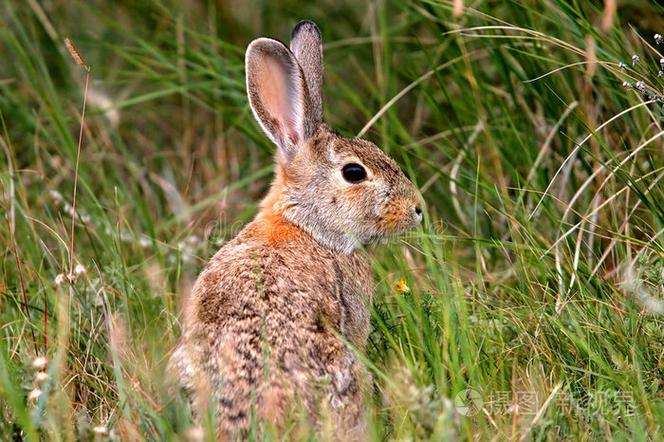 你想知道2014年马年几月出生的宝宝好吗? 你想知道2014年马年几月出生的宝宝好吗?