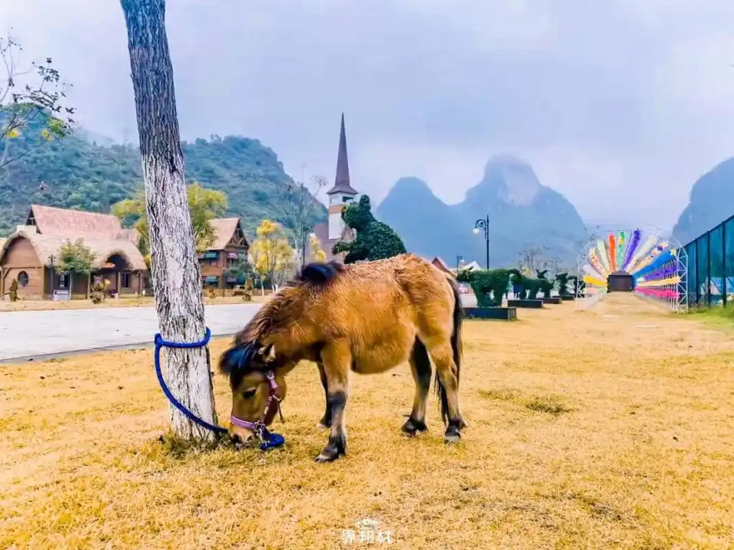 属兔人2025年运势及运程详解