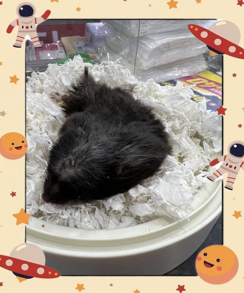 子女缘深的体相