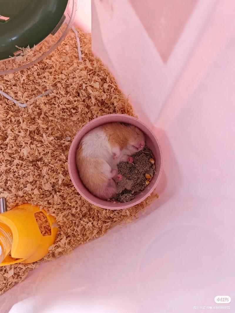 属水属木的男孩名字 补足五行男宝宝好名 属水属木的男孩名字 补足五行男宝宝好名