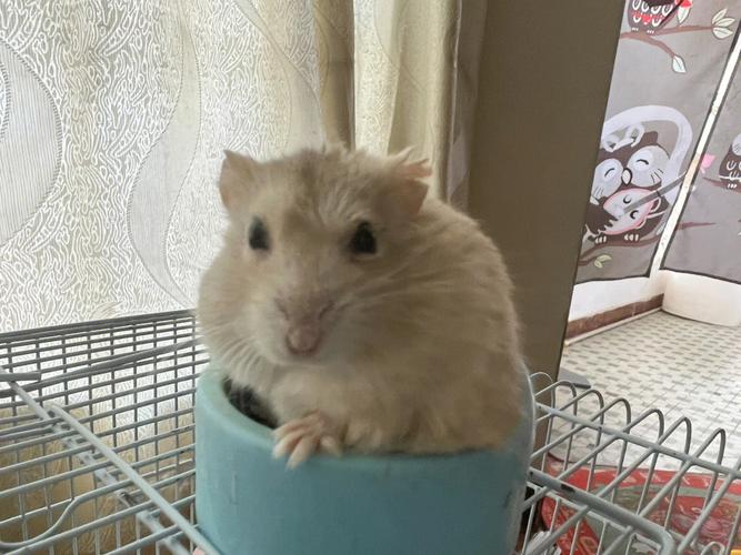 错过了八字的另一半的人 八字看正缘未来另一 错过了八字的另一半的人 八字看正缘未来另一