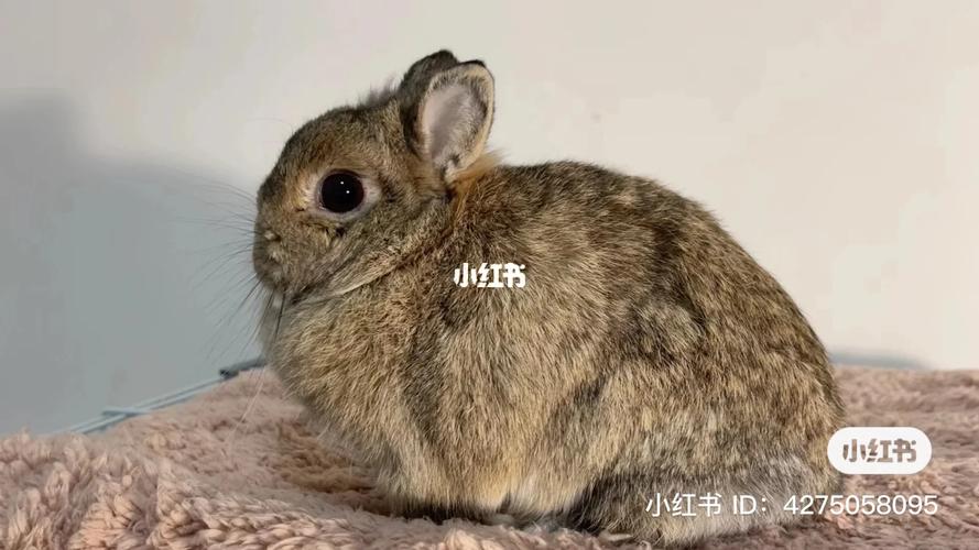 关帝灵签52签枯木逢春_秘密应否守口如瓶(关帝灵签52签枯木逢春对待秘密的态度