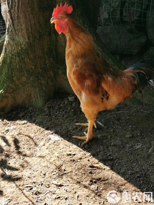 吴京谢楠最好的我们吴京和谢楠的日常：一个