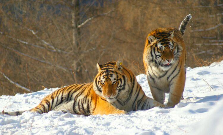 农村宅基地风水顺口溜