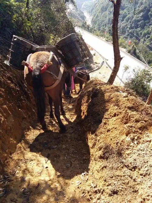 王琪最新歌曲王琪最火的五首歌曲