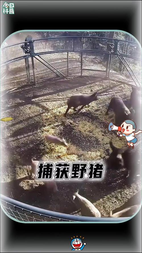 演员赵立新的角色赵立新在风声中饰演谁