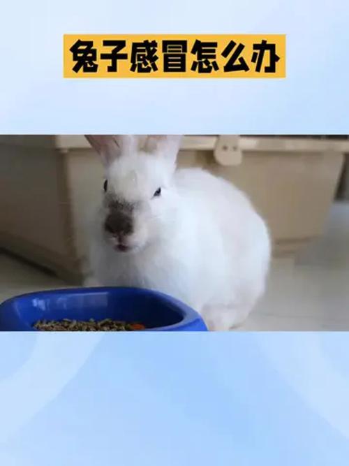 看名字测恋爱运势 李同宝名字运势如何