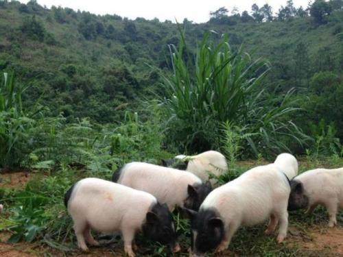 佛祖灵签全福签怎么解_家庭矛盾_职场人际关系会受影响吗(佛祖灵签全福签怎么