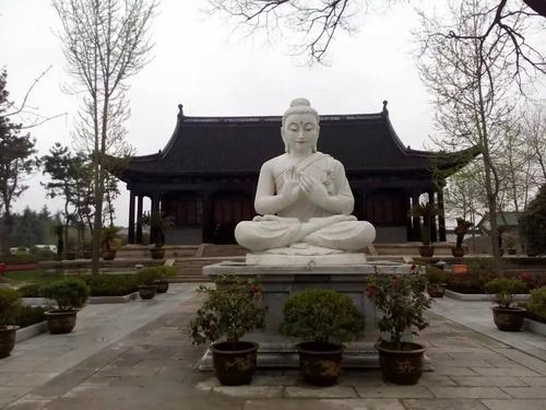 不同血型属兔人的性格特点 不同血型属兔人的性格特点