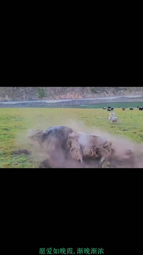 阴历2025年七月十八出生的男孩子五行缺什么 命运如何