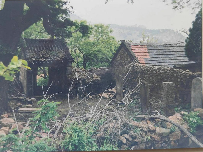 张林赫演过什么电视剧