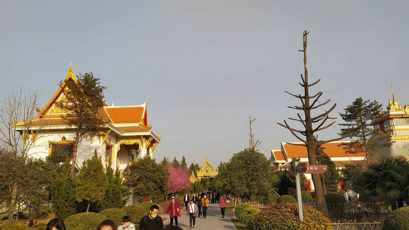 2025年生肖龙全年运程