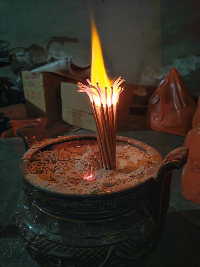 2025世界卫生日活动方案