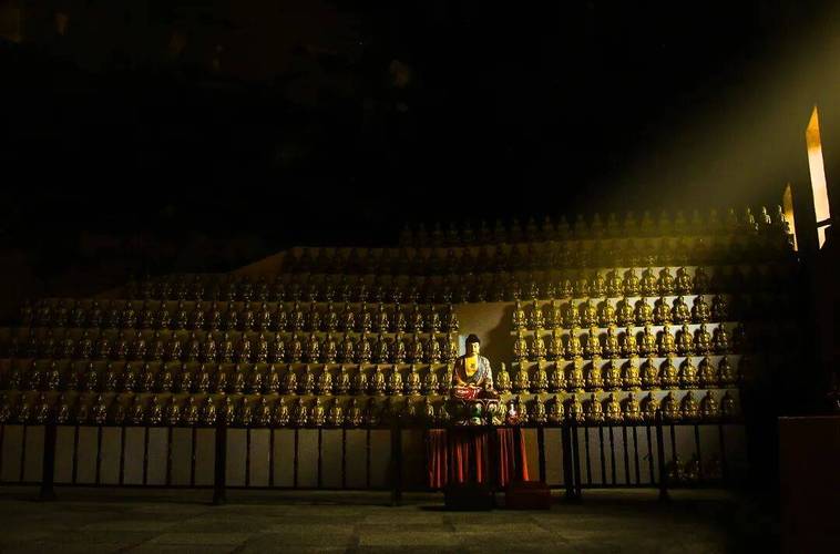 上海乔乔简历_上海乔乔是做什么的