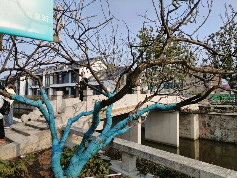 各星座心里鸡汤 嘴上怼你心里爱你的星座