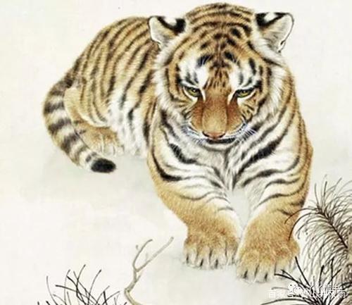 四柱八字天干地支阴阳五行生克原则的基础知识