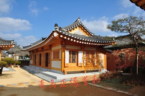 张怡宁没有排名是真的吗为什么张怡宁巅峰时