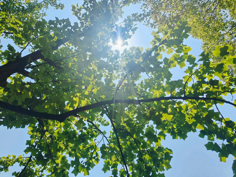 王一博和肖战女装比美之最：谁技高一筹