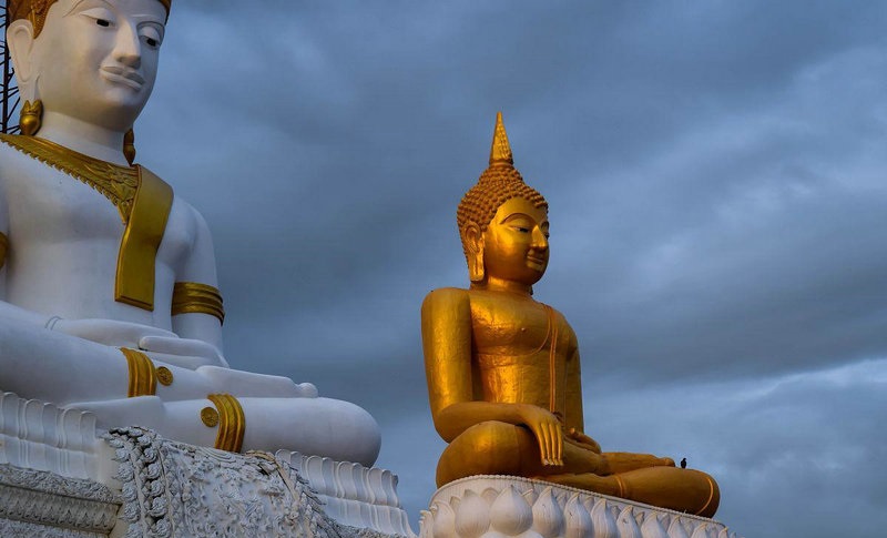 逸字八字笔画 逸字的艺术签名写法