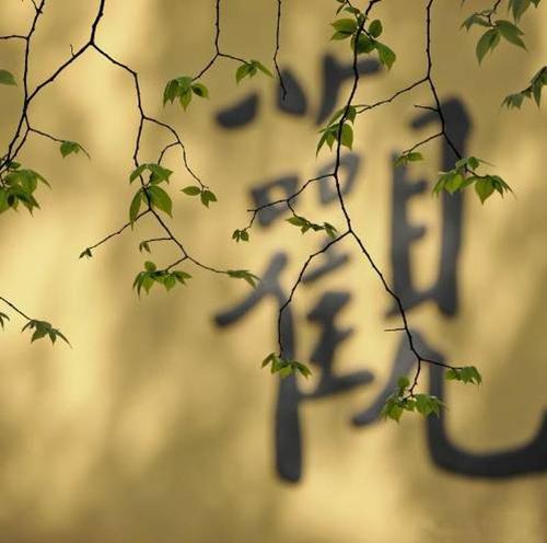 性情风流女人面相特征大