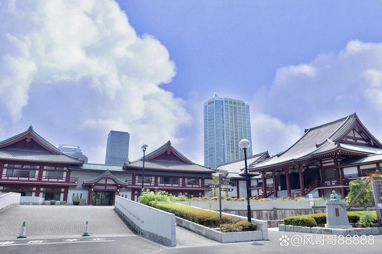 庚午年份带字母的车牌号如何通过命理学方法判断其吉凶影响