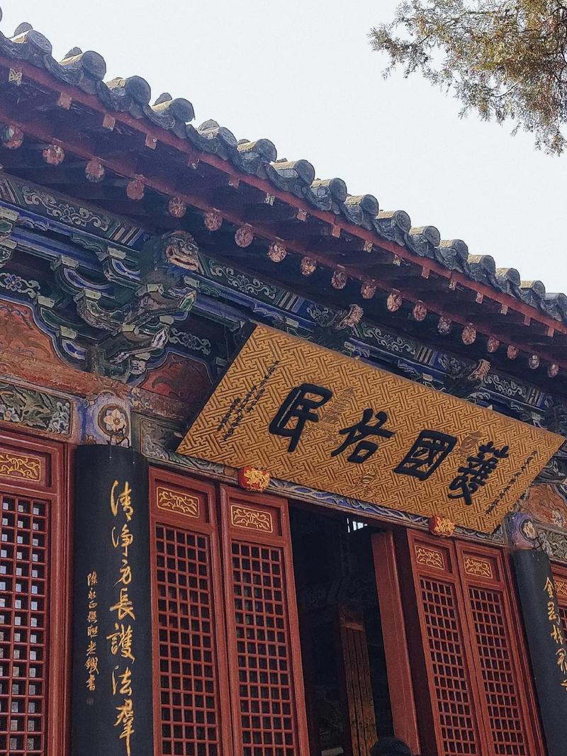 属鸡女生性格 属鸡女生性格优缺点