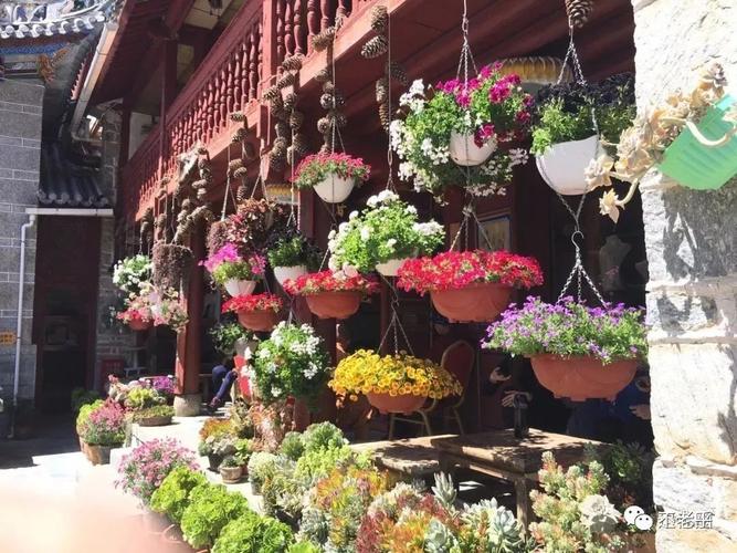 我被爱豆不可描述了动漫