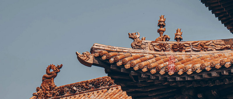 徐静蕾的旗下有哪些艺人