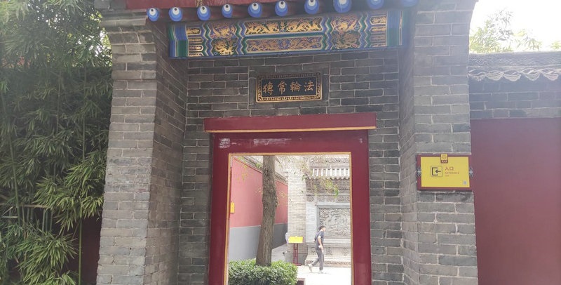 秦岚比魏大勋大几岁_秦岚多大呀