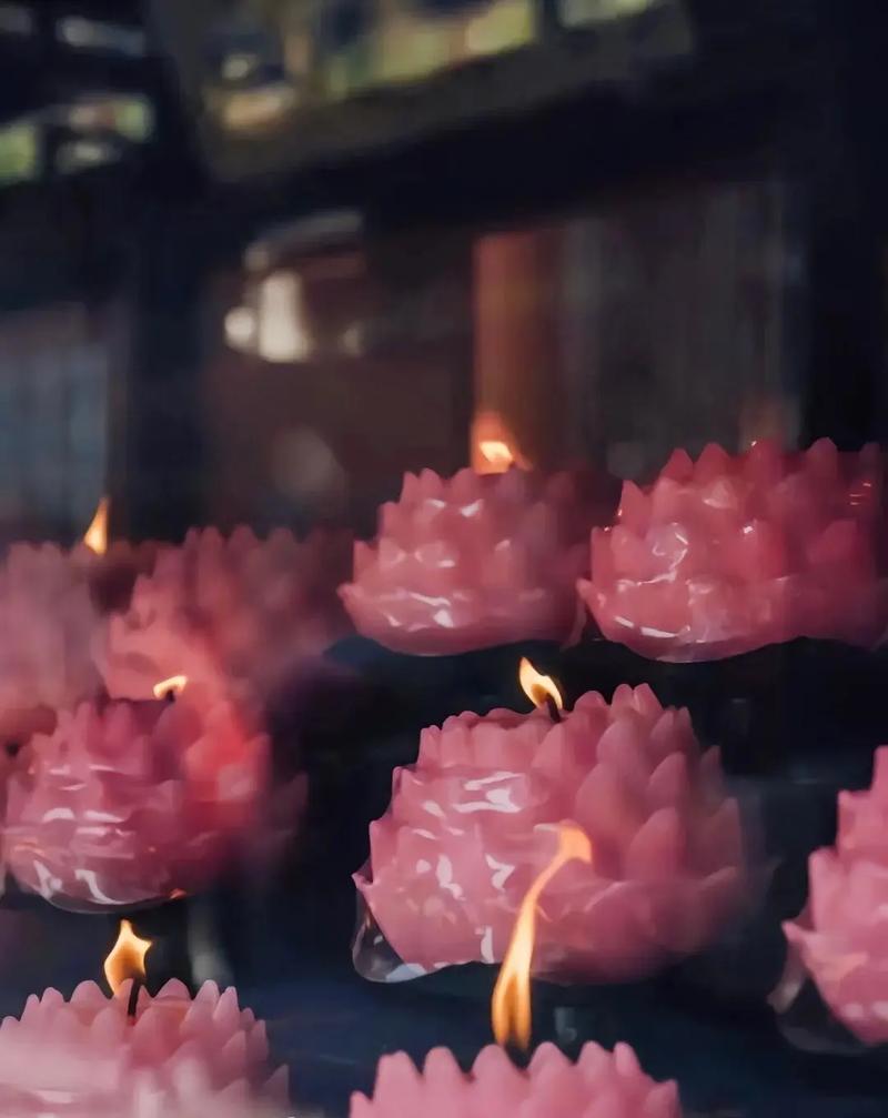 党姓鼠宝宝女孩起名是否对配偶职业有潜在影响(党姓鼠宝宝女孩起名是否能与