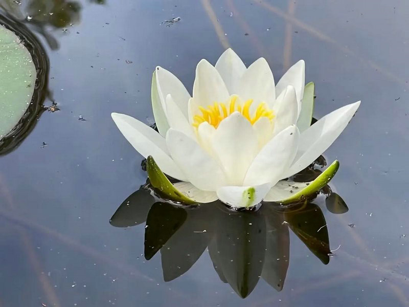 有没有没整过容的韩国美女明星啊!?日潮是否 有没有没整过容的韩国美女明星啊!?日潮是否