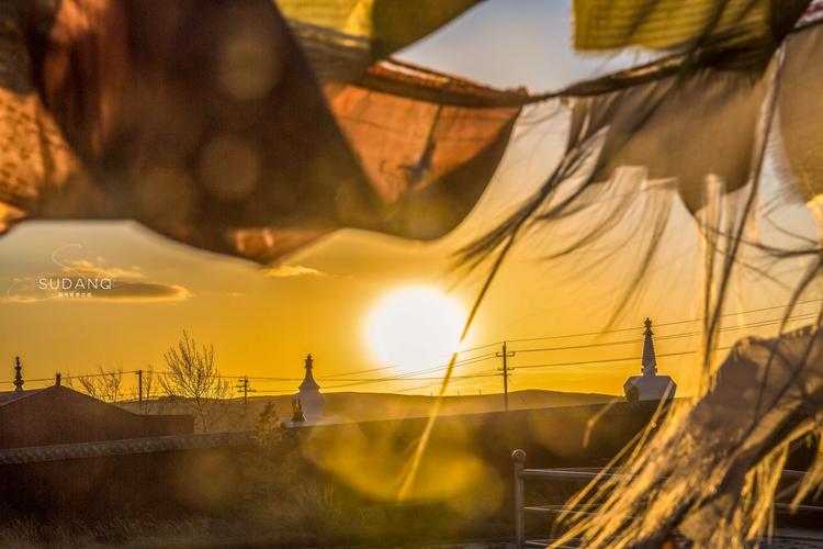 女明星私家照(女明星日常照)