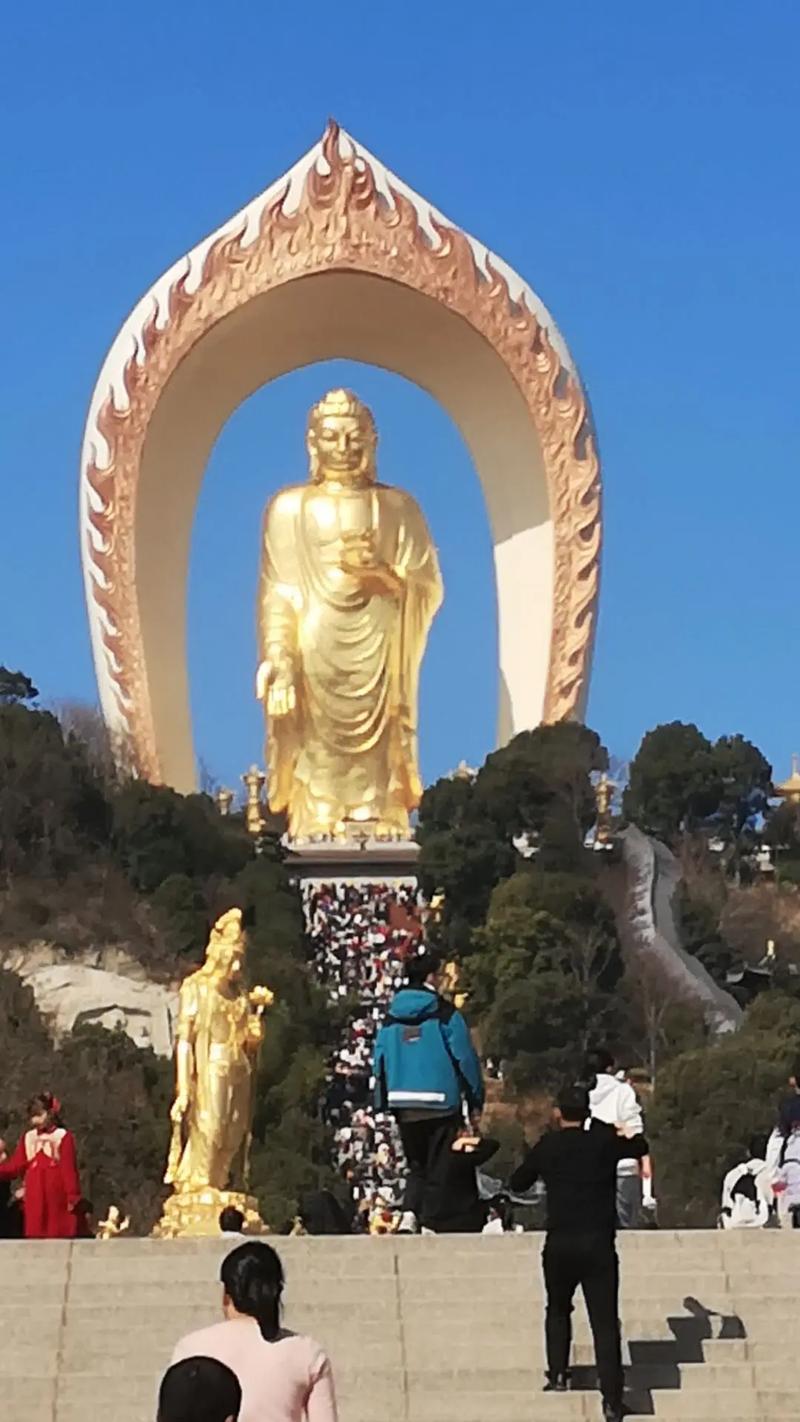 张大奕是谁的老婆张大奕发文否认与蒋凡