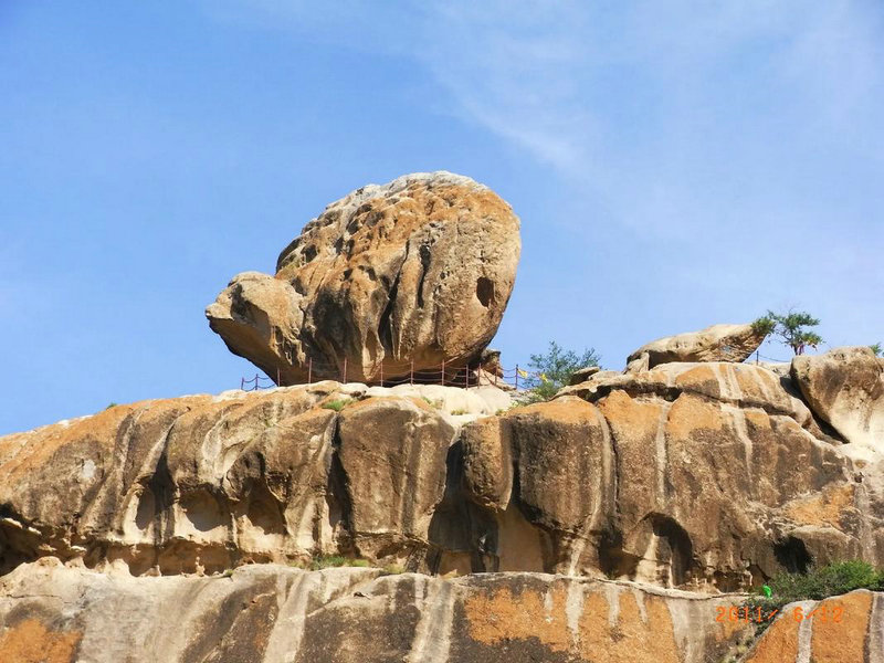 属虎的什么颜色的衣服最好