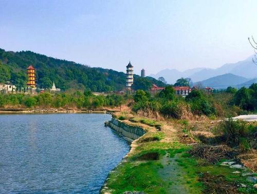 属羊的什么年份 六几年属羊的