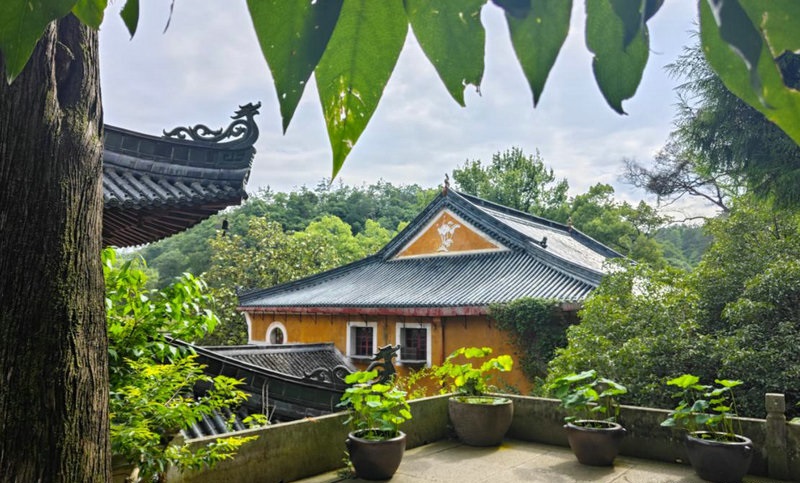 八字神煞咸池解析 命犯桃花或有灾厄 八字神煞咸池解析 命犯桃花或有灾厄