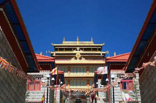 79年是不是本命年对婚后家庭分工有影响吗(79年是不是本命年对婚后家庭分工有