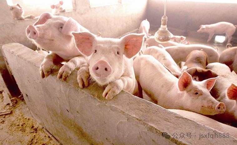 梁朝伟辟谣定居日本 在日本语言不通可以不跟人讲话