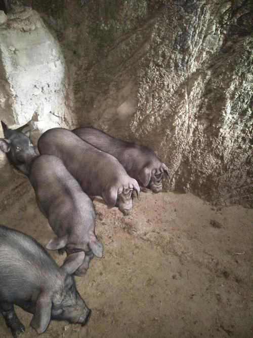 居家家具摆放风水大全