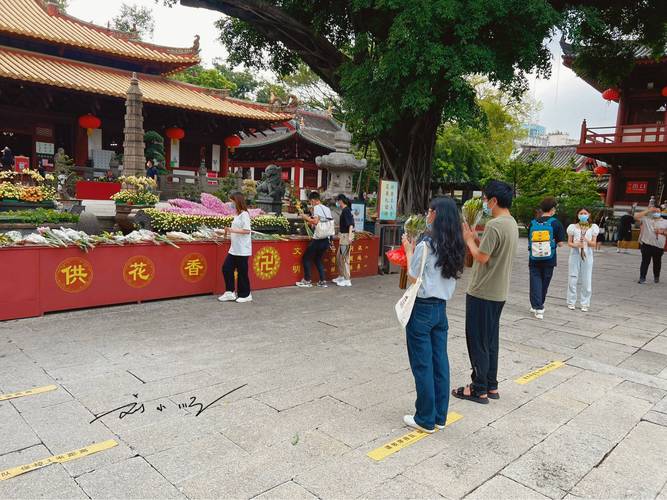 二零年属猪的运势