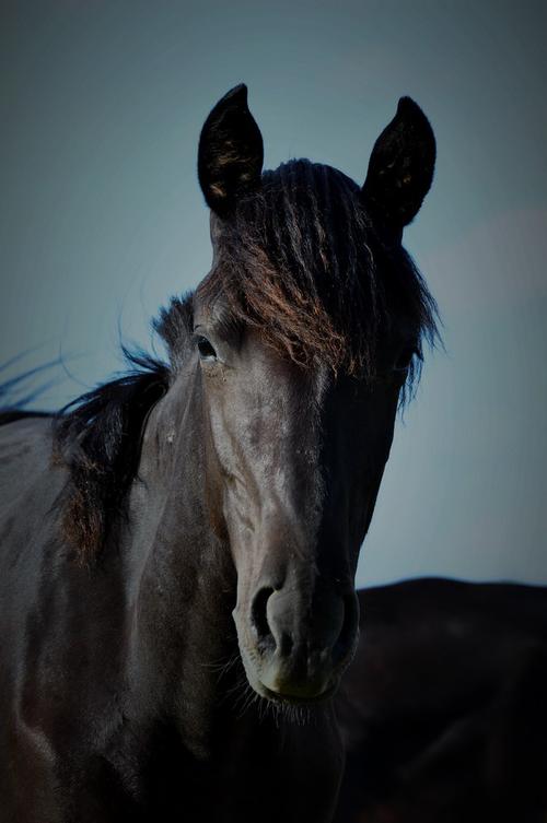 埃及从比利时追回两件珍贵文物