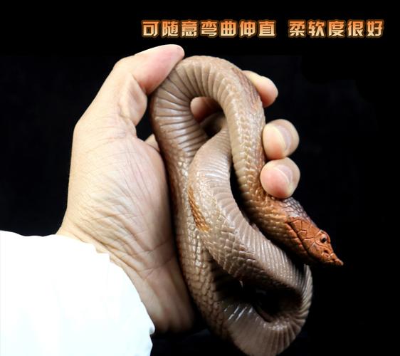 水瓶座的优点是什么