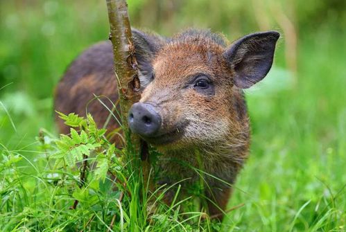如何运用结构罗盘进行精准决策与价值挖