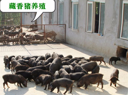 梦见坐火车是什么意思 梦见坐火车是什么意思