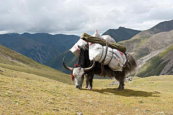 摩羯座真正想要的爱情 几号出生摩羯最厉害