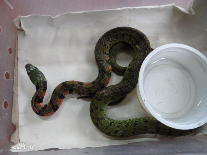 水瓶座男生对待感情 水瓶座男生对待感情