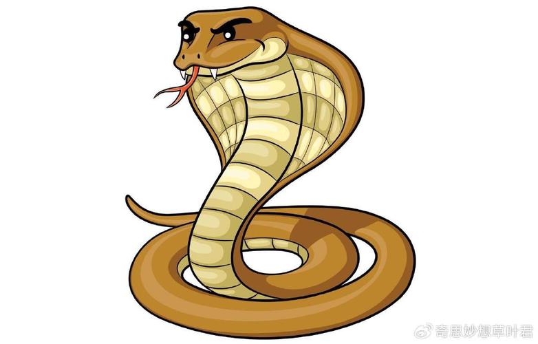 广州算命看八字_己卯之命,未来命运如何? 广州算命看八字_己卯之命,未来命运如何?