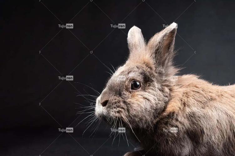 双鱼座今天的桃花运势如何 双鱼8月份桃花