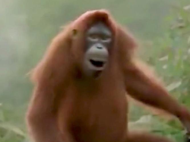 那一天电视剧演员表 那一天电视剧台剧